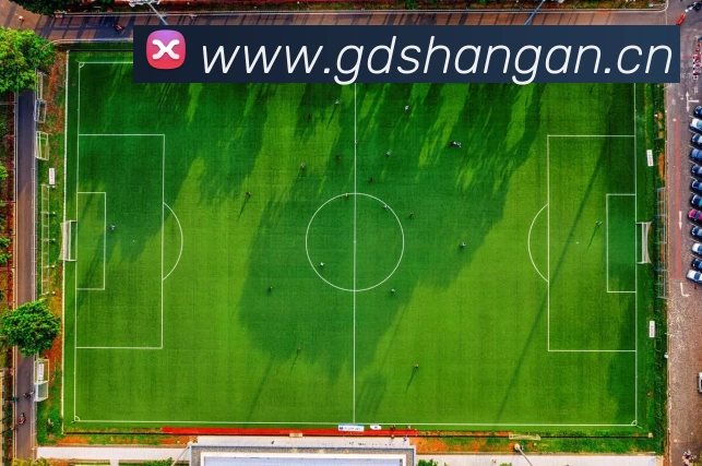 世界杯官方网络平台发展历程